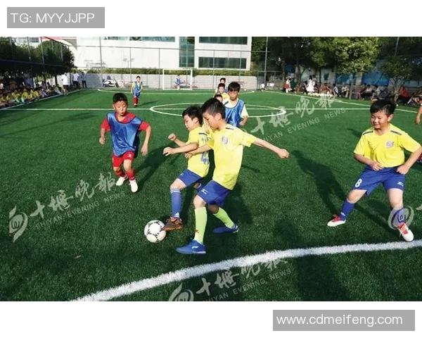 我的足球成长之路：从菜鸟到球场英雄的日记分享
